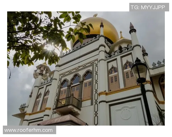 探索阿拉巴的魅力与文化深度体验之旅，感受独特风情与历史韵味