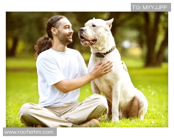 蒙特瑞与墨西哥老虎的巅峰对决谁能笑到最后 蒙特瑞与墨西哥老虎的巅峰对决谁能笑到最后