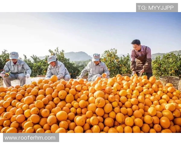 亚马尔地区的能源开发与可持续发展探索及其对全球市场的影响分析 亚马尔地区的能源开发与可持续发展探索及其对全球市场的影响分析