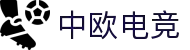 中欧电竞-探索电竞的丝绸之路
